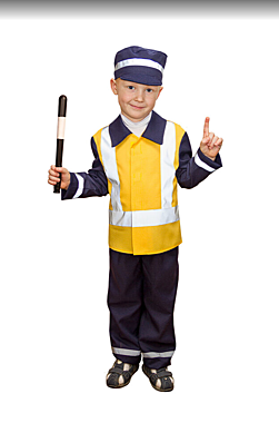 Инспектор ДПС