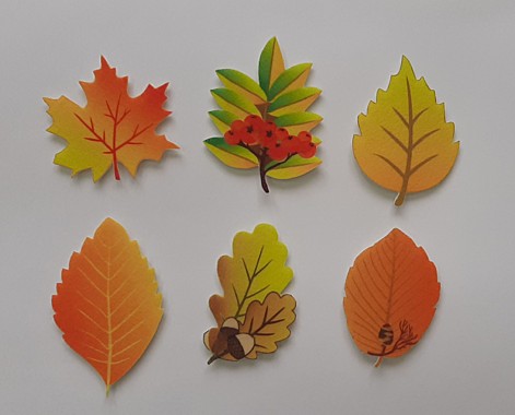 Набор «Листья»