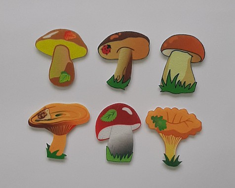 Набор «Грибы»