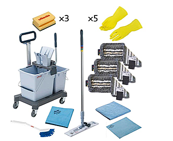 Набор Vileda Professional №2