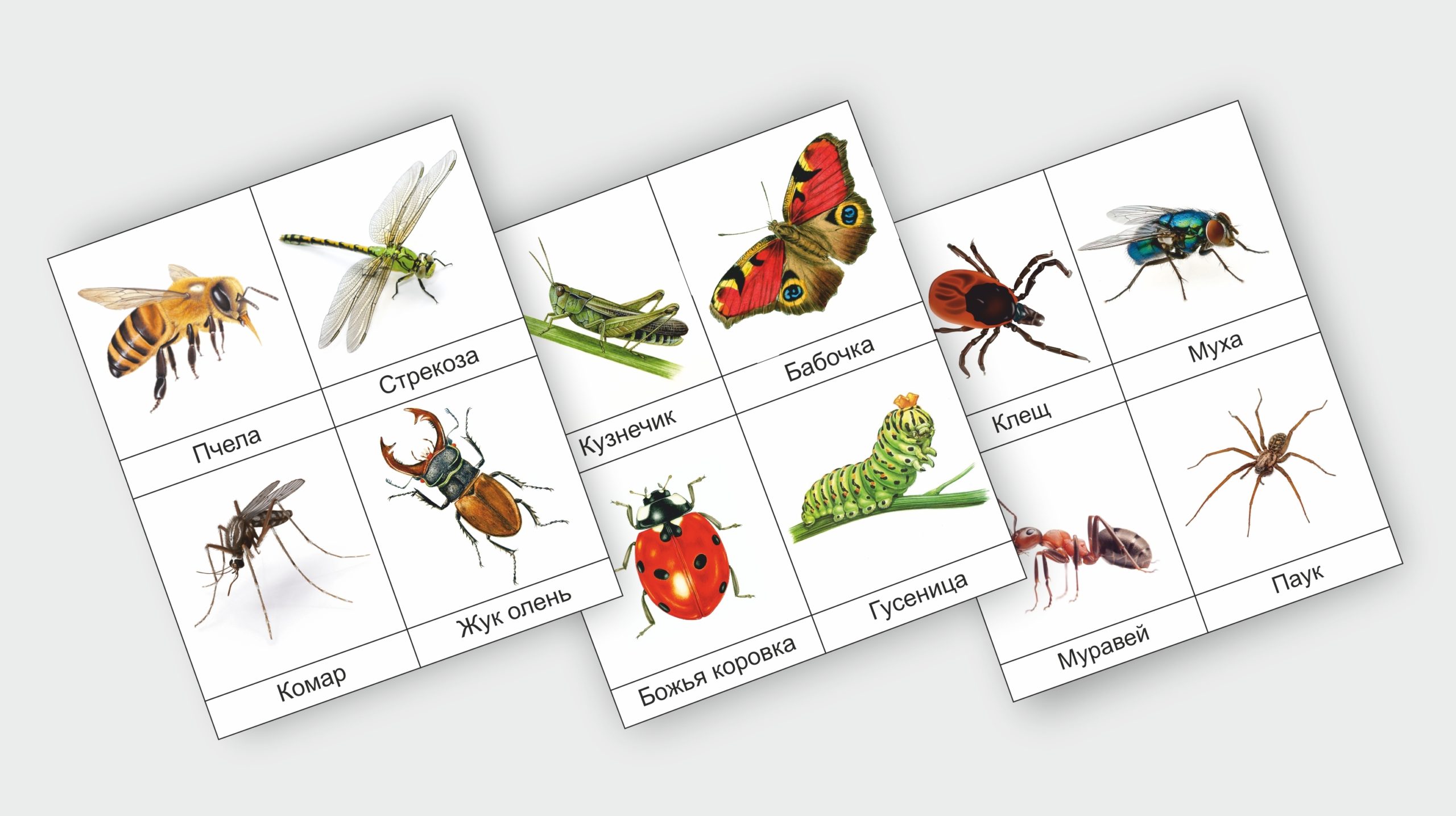 Изображение товара