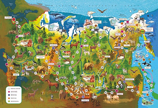 Коврик-игра «Путешествие по России»