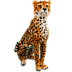 Животные домашние и дикие