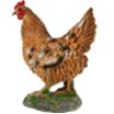 Фигура Курица на камушке, 30х33 см